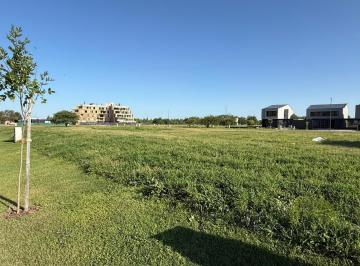 Terreno · 250m² · ¡Entrega Usd 8 y Saldo en 12 Cuotas! – Oportunidad en Zona de Crecimiento