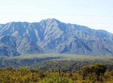Campo , Patquía · Campo Mixto en Venta Patquia - La Rioja