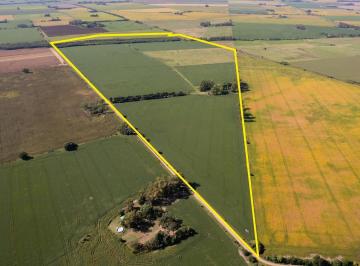Campo · 930000m² · Campo en Venta 93ha en Arrecifes