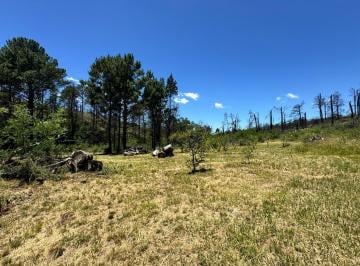 Terreno · 3000m² · Lote en Venta San Clemente Seguridad y Tranquilidad