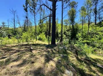 Terreno · 3000m² · 1 Ambiente · Lote en Venta San Clemente Seguridad