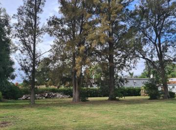 Terreno · 800m² · Venta de Lotes en Parque Irizar Arbolados y Centrales