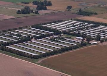 Campo · Campo en Pedernales