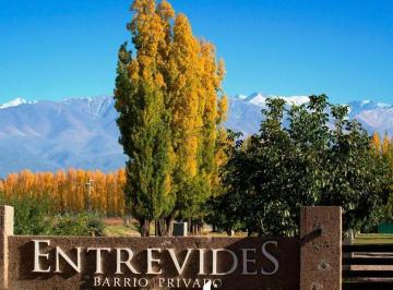 Terreno · 1000m² · Openhouse Vende Magnifico Terreno en Tupungato