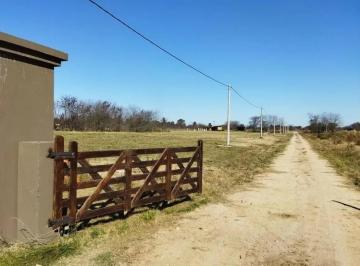 Terreno · 6958m² · Terreno en Venta - 6.958 m² - Cañuelas