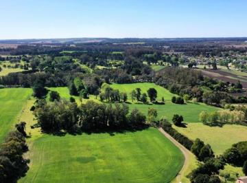 Terreno , Mar del Plata · ¡Imperdible Fracción de Tierra Forestada!