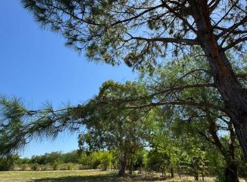 Terreno , La Plata · Terrenos en Venta en Villa Elisa
