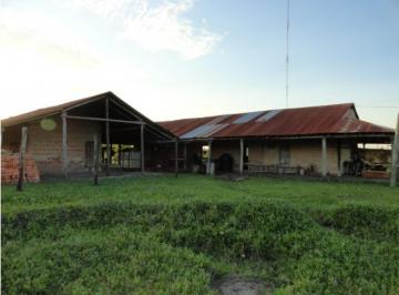 Campo · 32000000m² · 1 Ambiente · Inversión Agropecuaria - 3.200 Hectáreas Formosa