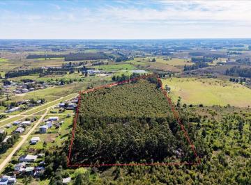 Campo · 102402ha · 1 Ambiente · Venta Chacra de 10.2 Ha en Joaquín Suarez, Canelones.