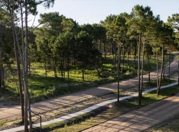 Terreno · 1065m² · Terreno en Barrio Bosques