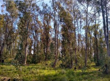 Campo · 60000m² · 1 Ambiente · 6 Hectáreas con Acceso Directo a La Nueva Autopista en Merlo