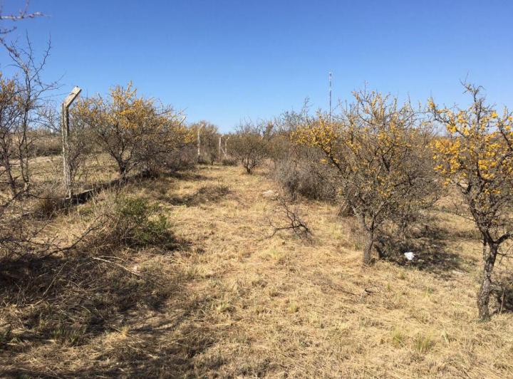 Terreno · 4900m²
