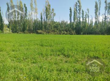 Terreno · 3m² · Venta Chacra, China Muerta 3.3 Hectáreas. Neuquén.