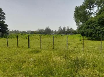 Terreno , Mar del Plata · Venta de 4 Hectáreas B. Parque Palermo, Mar del Plata.
