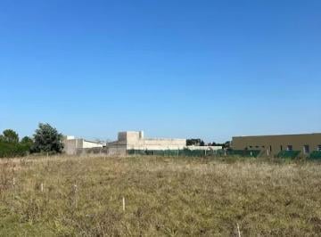 Terreno · 500m² · Terreno en Venta - 500 m² - Necochea