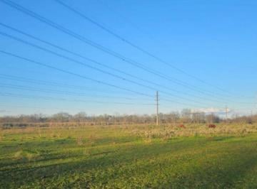 Campo · 40000m² · 1 Ambiente · Campo en Venta - 4 Hectáreas - Vicente Casares