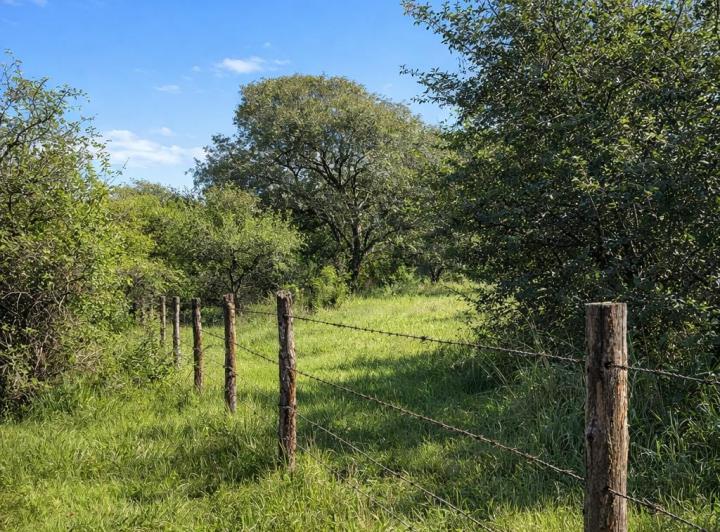 Terreno · 1500m²