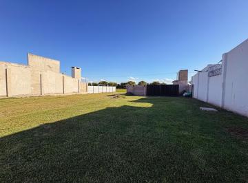 Terreno · 300m² · Lote Mejorado con Pileta + Baño en B° Antártida