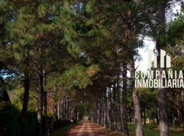 Imagen 1 · Terreno en "Jardines de La Costa"