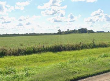 Terreno · 300000m² · Venta Campo 30ha – 600 m de Frente Sobre A012 Roldan