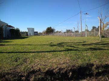 Terreno · 772m² · Terreno en Venta Joaquin Gorina