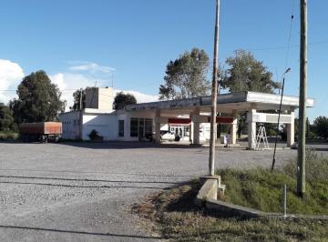 Local comercial · 15000m² · 1 Dormitorio · Local en Venta - La Plata