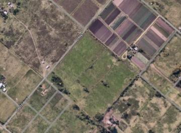 Campo · 80000m² · Campo en Venta - Gorina