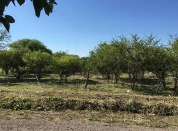 Terreno · 2327m² · Terreno en Venta - 2.327 m² - Villa Allende