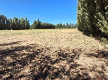Campo · 360000m² · 4 Ambientes · Campo en Paso Aguerre