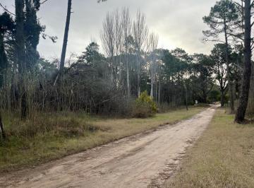 Terreno · 1407m² · Terreno en Venta - 1.407 m² - Cariló