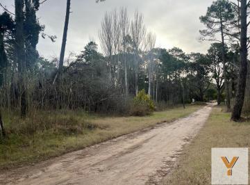 Terreno · 1407m² · Terreno en Venta - 1.407 m² - Cariló