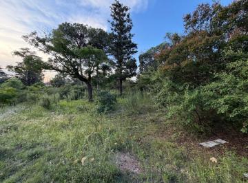 Terreno , La Falda · Vendo Lote | 1200 m² | Arbolado | Apto Escritura | B° El Alto