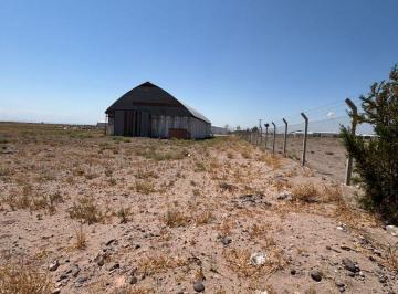 Terreno , Añelo · Venta de Hectarea con Galpon en Añelo Parque Industrial