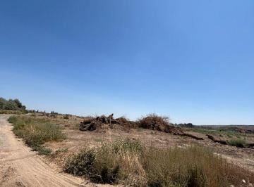 Terreno , Añelo · Venta de Hectarea y Media en El Casco Urbano de Añelo Neuquen