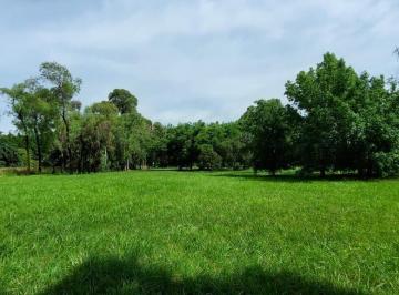 Terreno · 15346m² · Venta Lote en Barrio La Oración Lujan