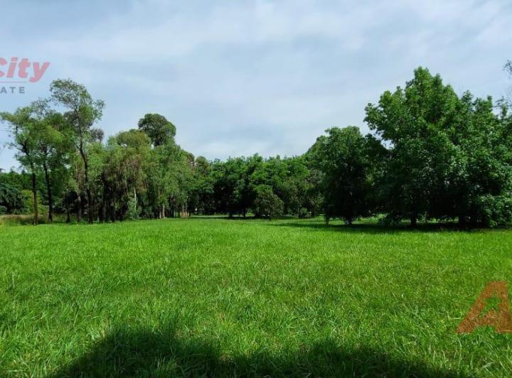 Terreno · 15346m²