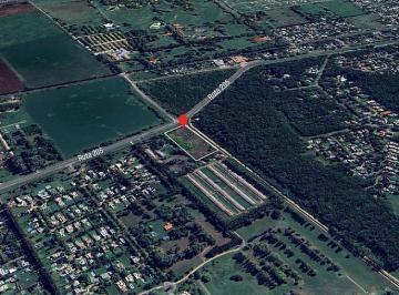 Terreno · 15200m² · Excelente Fracción de Terreno de 15.200 m² Sobre Ruta 205 - Cañuelas