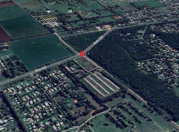 Terreno · 15200m² · Excelente Fracción de Terreno de 15.200 m² Sobre Ruta 205 - Cañuelas