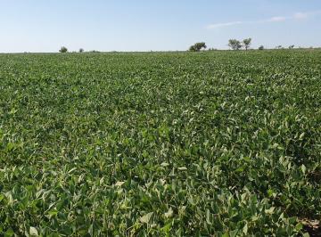 Campo · Se Venden Campo Mixto de 122,5ha