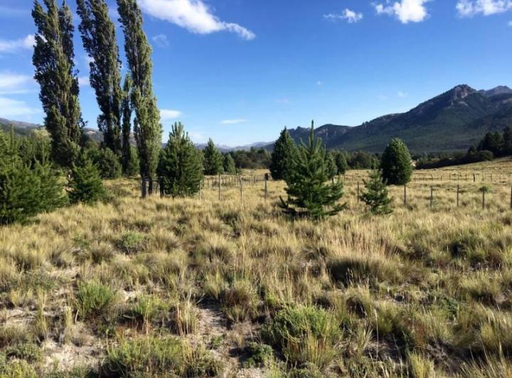 Terreno · 1000m²