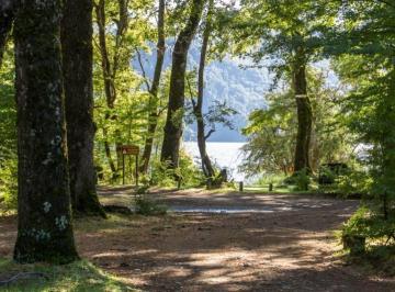 Campo · 10000m² · En Venta 1hectárea en Quila Quina Lago Lácar San Martín de Los Andes