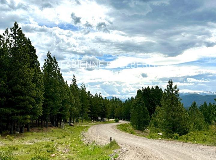 Terreno · 2950m²