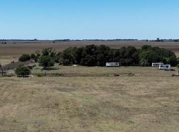 Campo · 4700000ha · 2 Ambientes · 2 Cocheras · Campo - Chascomus