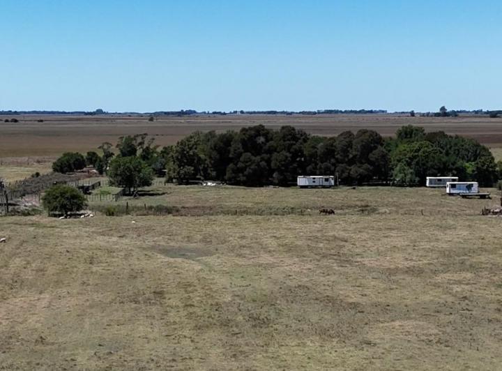 Campo · 4700000ha · 2 Ambientes · 2 Cocheras
