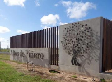 Terreno · 300m² · Terreno en Venta en Altos de Piñero