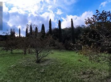 Campo · 37m² · 5 Ambientes · 1 Cochera · Campo en Agua de Oro, Córdoba.