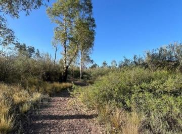 Terreno , Las Heras · Ideal Inversionistas. Dos Lotes Contiguos en Cacheuta, con Salida a Ruta 82