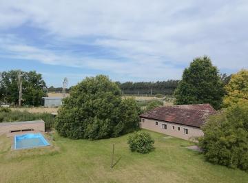 Campo · 310m² · 6 Ambientes · Campo en Venta en Ruta 2 Km 65