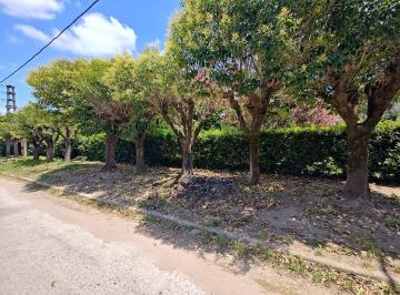 Quinta vacacional · 1681m² · 3 Ambientes · 1 Cochera · Casaquinta en Venta en Virrey del Pino, Sobre 2 Lotes de Terreno.