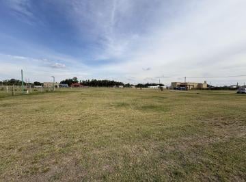 CBI-CBI-227_2 · Lote. | C. Sierra Grande, Cañuelas, Provincia de Buenos Aires
